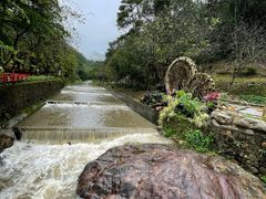 -广州白江湖森林公园