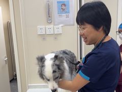 -美联众合爱康动物医院•复杂内科•肿瘤科•牙科•腔镜诊疗中心