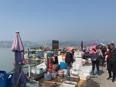 -东山码头