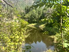 -泰山风景名胜区-普照寺