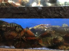 -鱼乐轩海鲜专门店