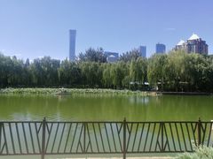 -团结湖公园