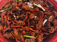 -东吴霸王兔(松青路店)