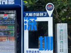 -大梅沙海滨公园