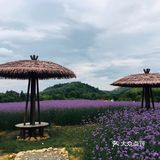美丽的家乡