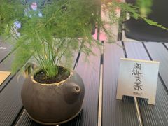 -茶月山·潮汕工夫茶饮(乐峰广场店)