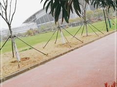 -南京中医药大学(仙林校区)