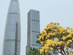 -深圳湾公园(南山区)