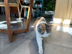 -后海16号·北京私房菜