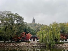 -焦山风景区