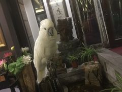 -大唐名家·息壤店