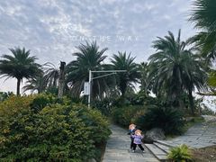 -瑶湖郊野森林公园