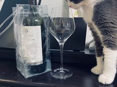 -Limestone 小酒馆(朝阳大悦城店)