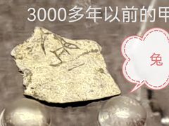 -旅顺博物馆