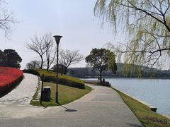 -上海月湖雕塑公园