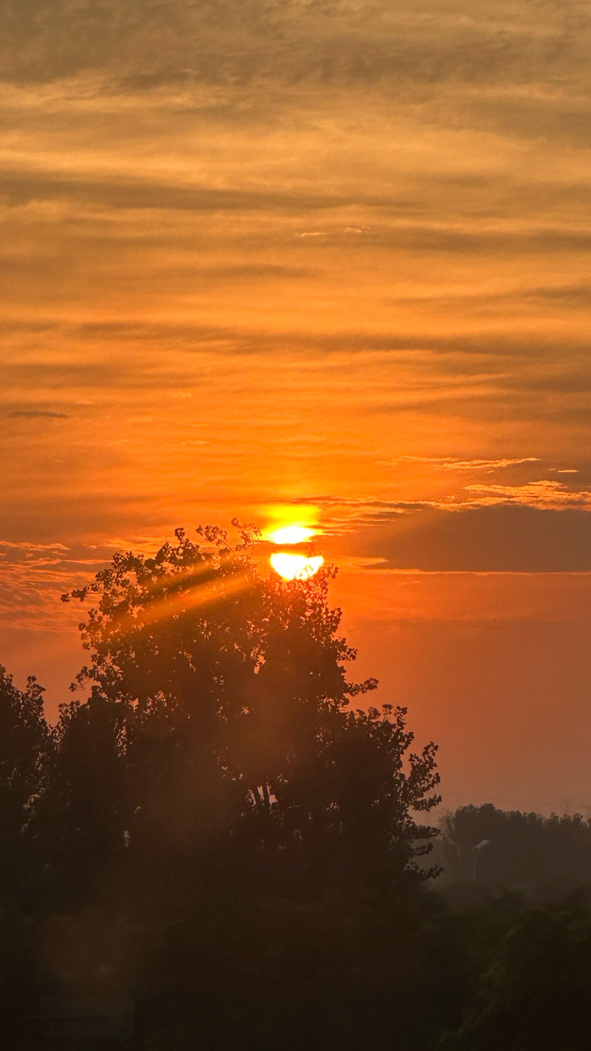 合肥美丽的大夏天,夕阳西下,美美哒