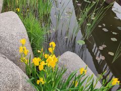 -羊亭河湿地公园