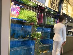 -涿派·炝锅鱼(涿州店)