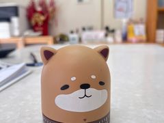 -爱妮康宠物医院·干细胞免疫细胞·肿瘤·心脏(张江店)