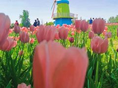 -北京国际鲜花港