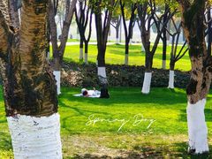 -重庆中央公园(渝北区)