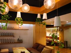 -柴务处·柴犬主题狗咖