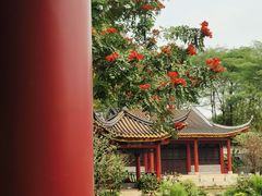 -顺峰山公园