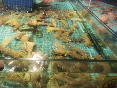 -驻海渔市(置信店)