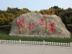 -塘沽森林公园