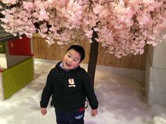 -Mr·Kuma酷么先生雪之乐园