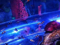 -沈阳海洋探索中心