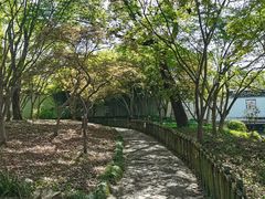 -秋霞圃
