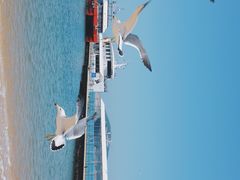 -海驴岛(荣成市)