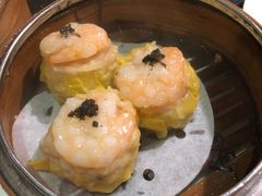 -糖朝(尖沙咀店)