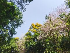 -深圳国际园林花卉博览园