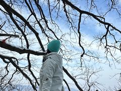 -终南山南五台景区