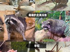 -正佳雨林生态植物园