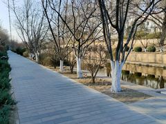 -元大都城垣遗址公园