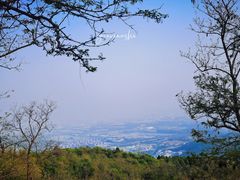 -鬼笑石后山停车场