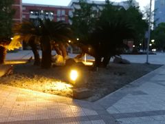 -四川大学(望江校区)