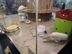 -宠物世家(仲盛世界商城店)