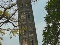 -上海佘山国家森林公园天马山园