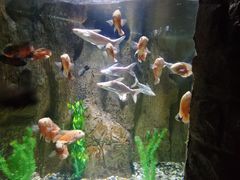 -多彩贵州城极地海洋世界