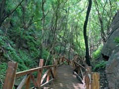 -大岭沟猕猴桃谷风景区