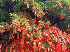 -佛山市祖庙博物馆