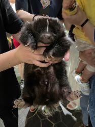 -Zoolung Zoolung动物主题公园(海信广场店)