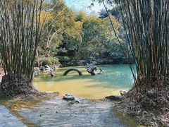 -汇龙潭