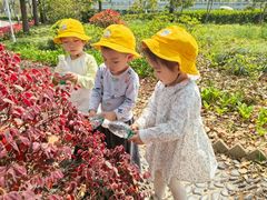 -豆初托育园 Baby Bean Day care Center