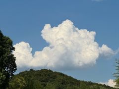 -兰亭风景区