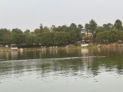 -美兰湖景区